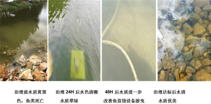 18D78777-94A5-47B6-B8DE-01034A7430B5.JPG